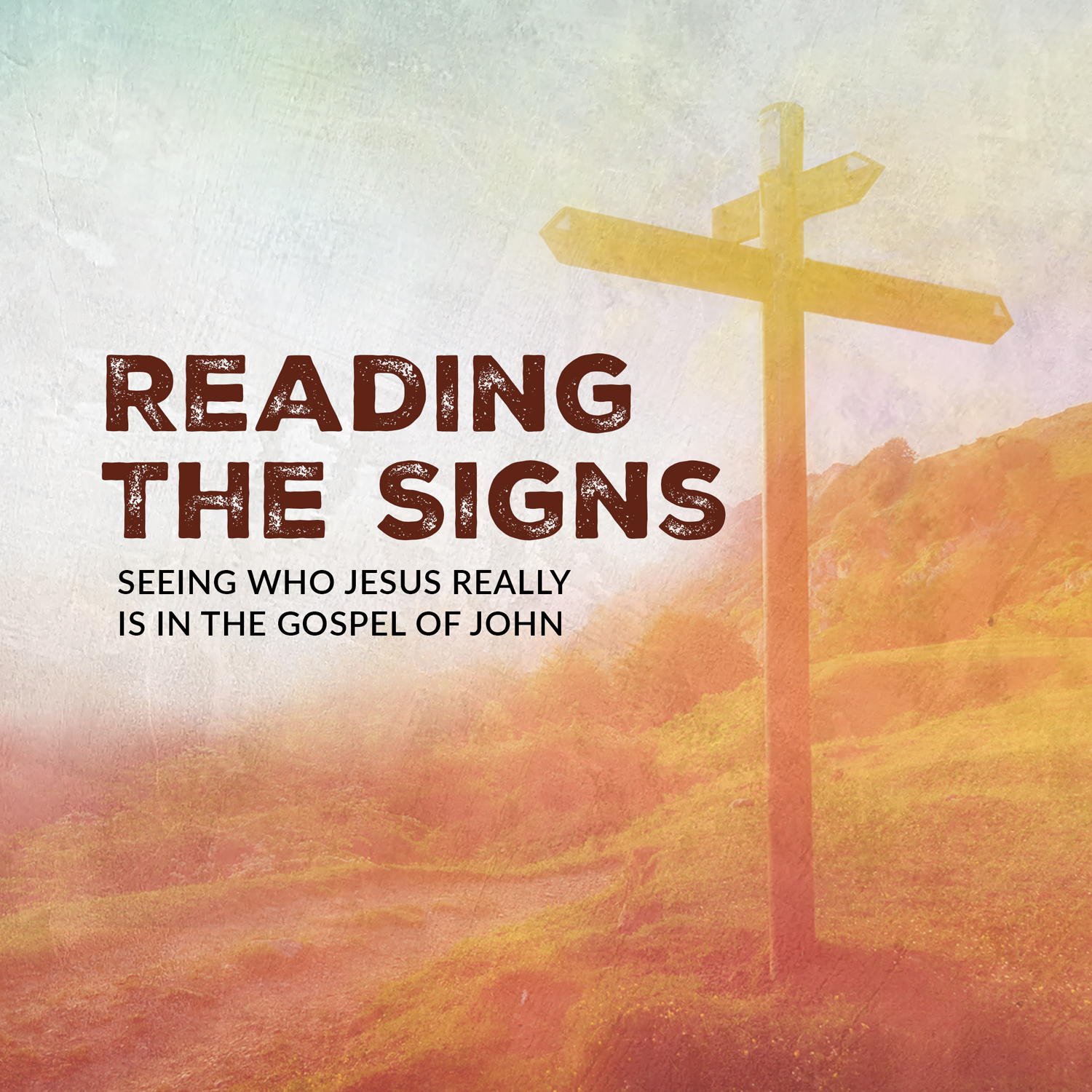 Reading the Signs series artwork